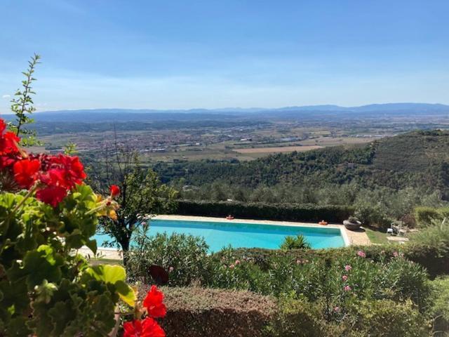 Agriturismo Cima Alla Serra Buti Zewnętrze zdjęcie