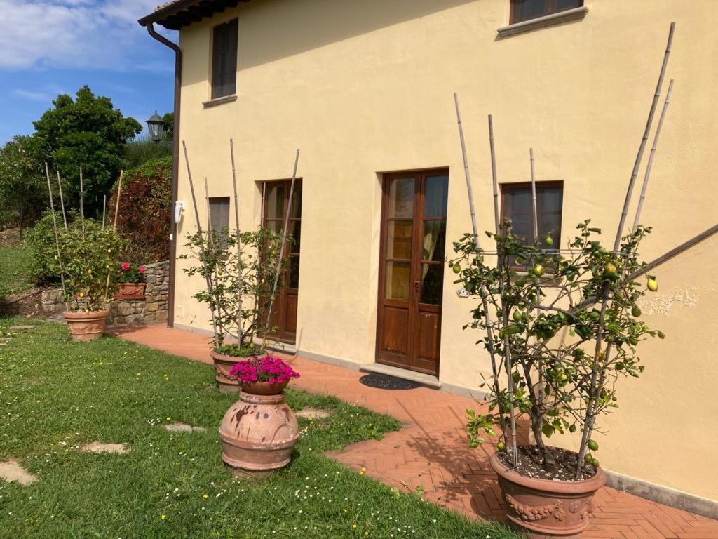 Agriturismo Cima Alla Serra Buti Zewnętrze zdjęcie
